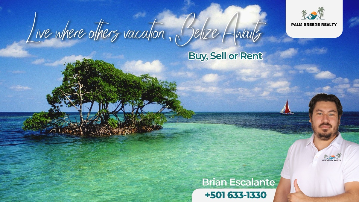 Palm Breeze Realty